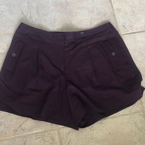 Loft dark plum dress shorts